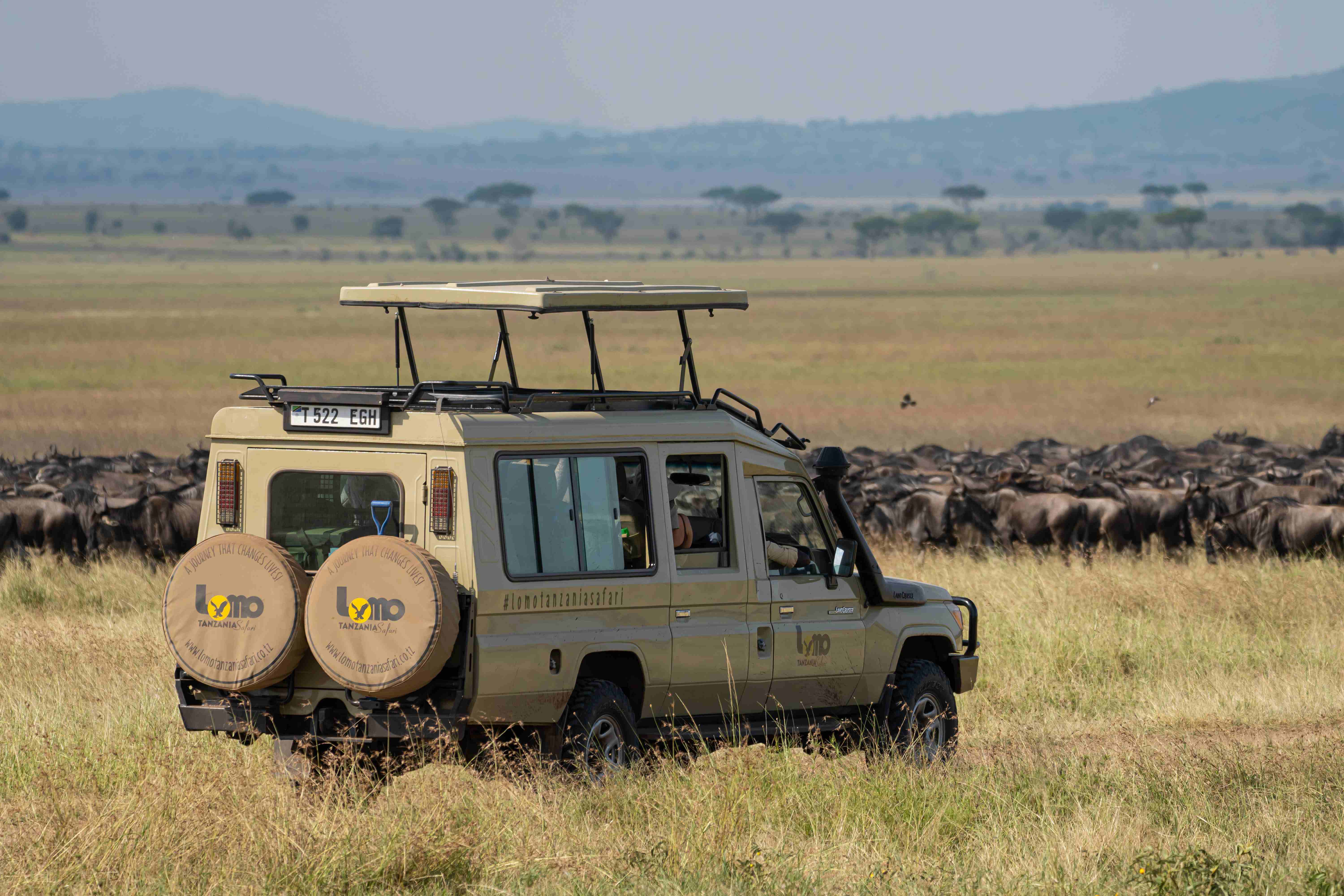 Lomo Tanzania Safaris team and journey